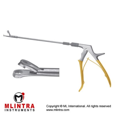 Eppendorf Biopsy Forcep Complete Detachable Handle Stainless Steel, 25.5 cm - 10" Eppendorf Biopsy Forcep Complete Detachable Handle Stainless Steel, 25.5 cm - 10"